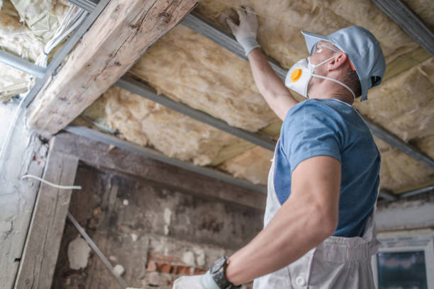 Best Attic Insulation Installation  in Cameron Park, TX