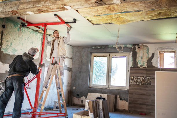 Best Insulation for New Construction  in Cameron Park, TX